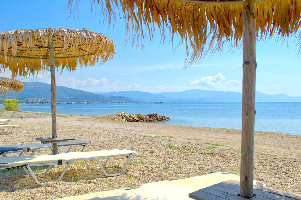 Epipleon Luxury Suites -105- Δωμάτιο 35Τμ Με Βεράντα 35Τμ Μπροστά Στη Θάλασσα Nafpaktos Eksteriør billede